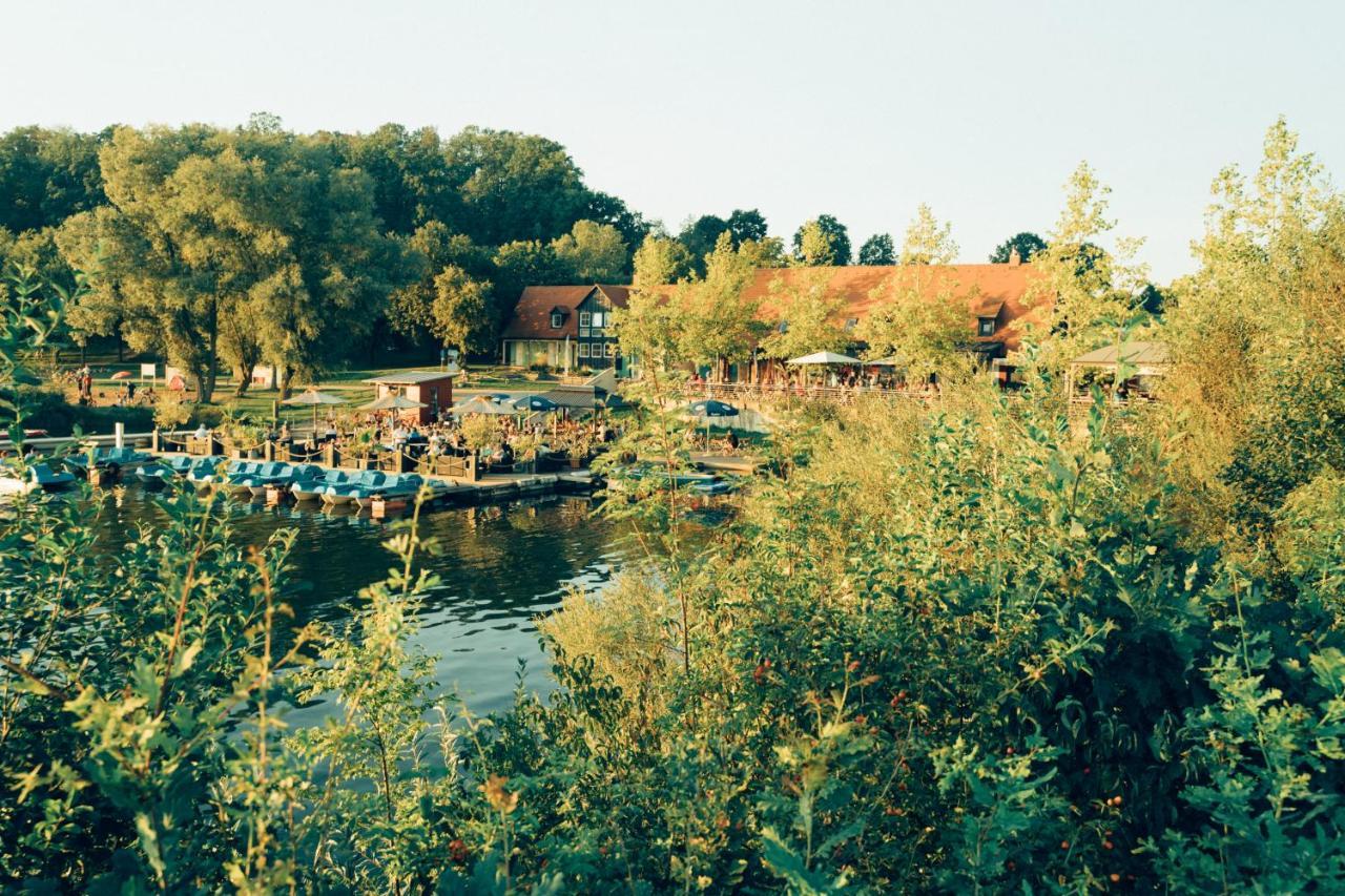Hundefreundliche Brombachsee