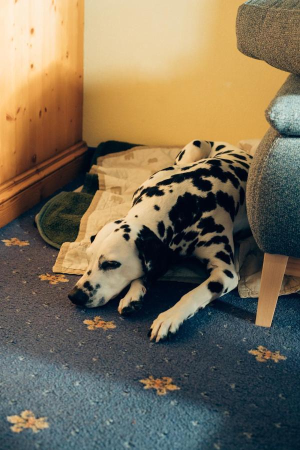 Hundefreundliche Brombachsee