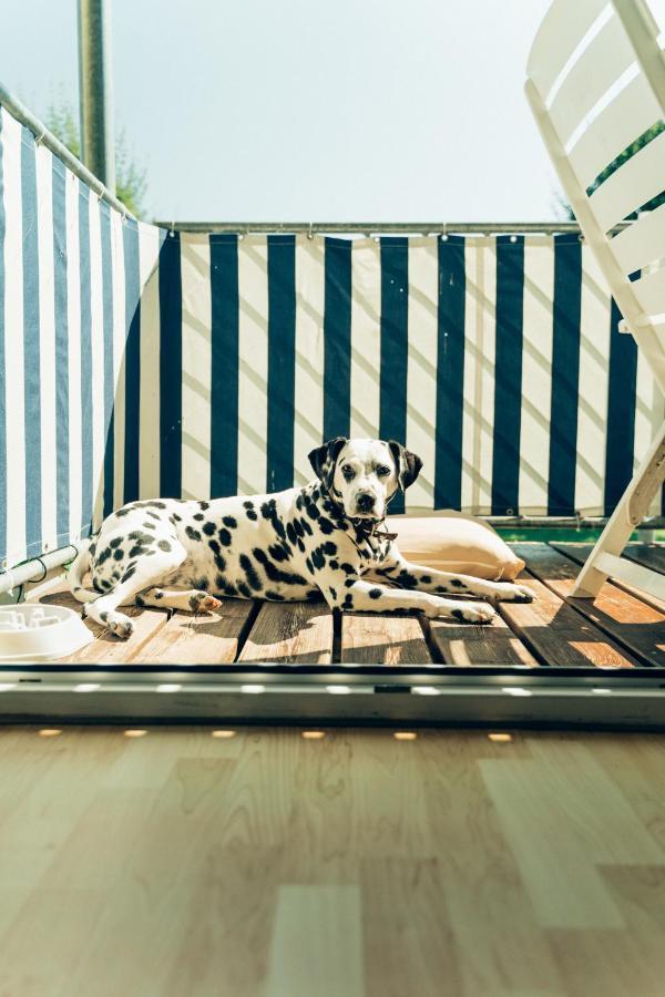 Hundefreundliche Brombachsee * Spalt